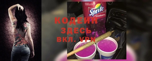 прущие грибы Осташков