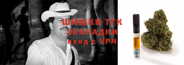 молекула духа Осинники