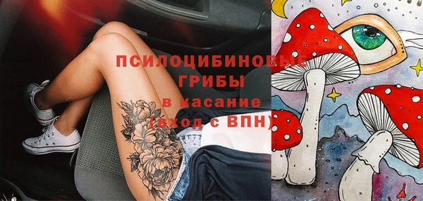 spice Пересвет