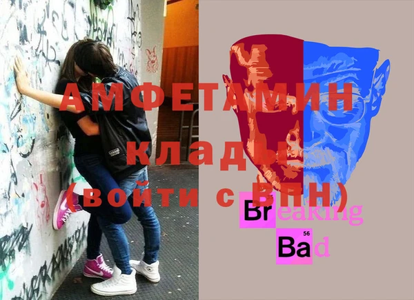 прущие грибы Осташков