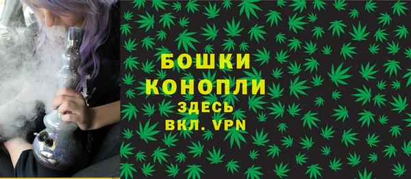 мдпв Ветлуга