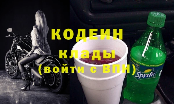 прущие грибы Осташков
