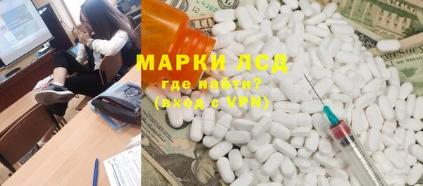 прущие грибы Переславль-Залесский