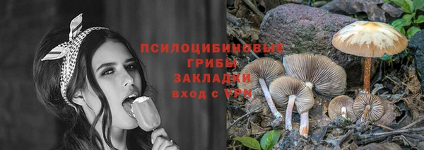дурь Гатчина