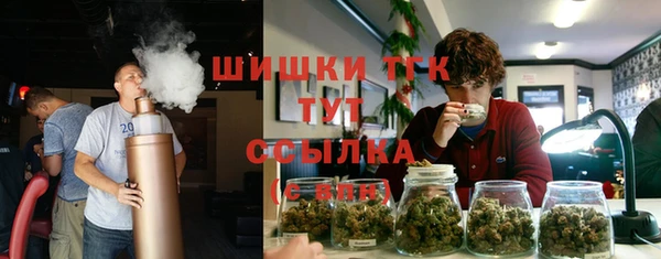 прущие грибы Переславль-Залесский