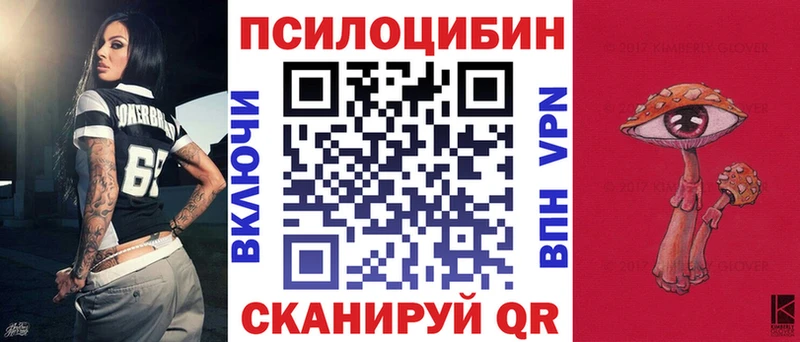 наркота  Каневская  Галлюциногенные грибы мицелий 