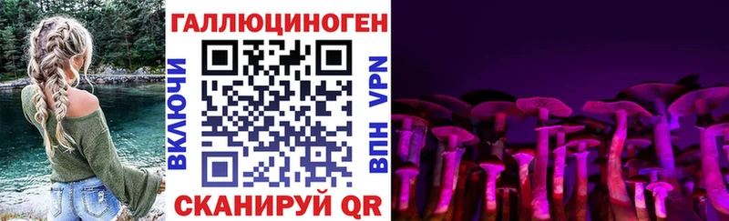 Галлюциногенные грибы прущие грибы Каневская